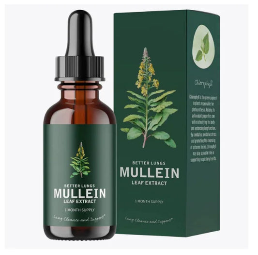 Organic Mullein Leaf Extract (Single Item)